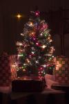 Sapin 07.jpg
